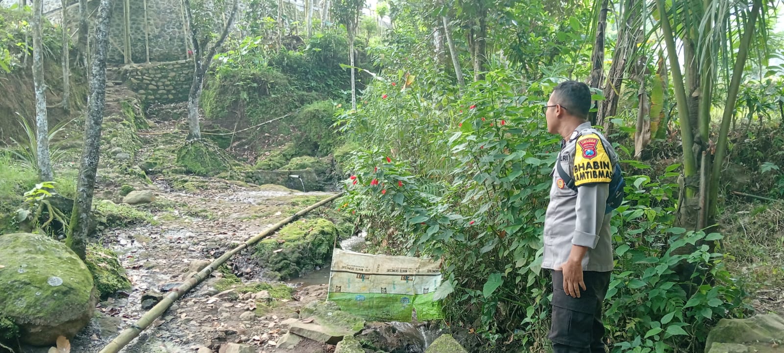 sedang-mandi-di-sumber-mata-air-pasutri-terluka-diserang-babi-hutan