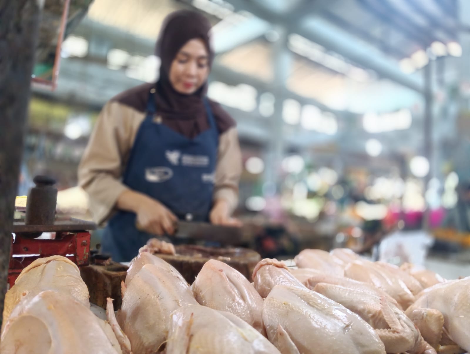 harga-ayam-tembus-rp42000-per-kg-di-jember-penjualan-justru-sepi-di-awal-puasa