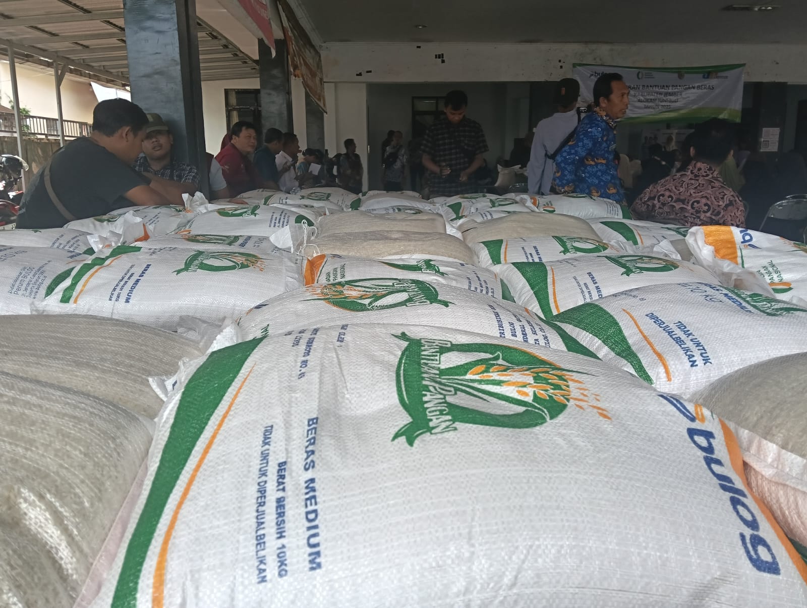 andalkan-serapan-petani-bulog-jember-pastikan-stok-beras-aman-tanpa-impor