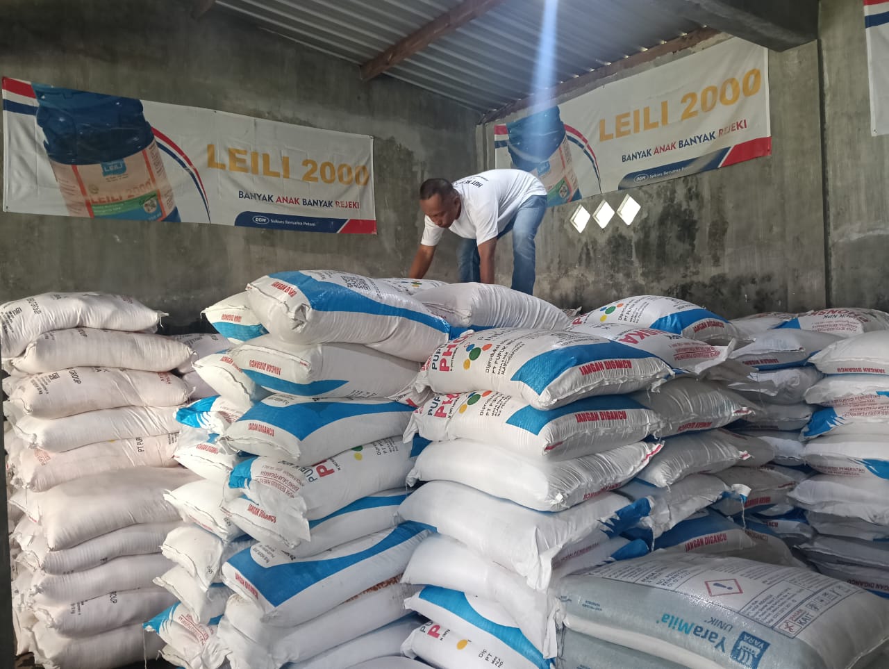 masa-tanam-dimulai-ratusan-petani-jember-belum-terdata-rdkk-pupuk