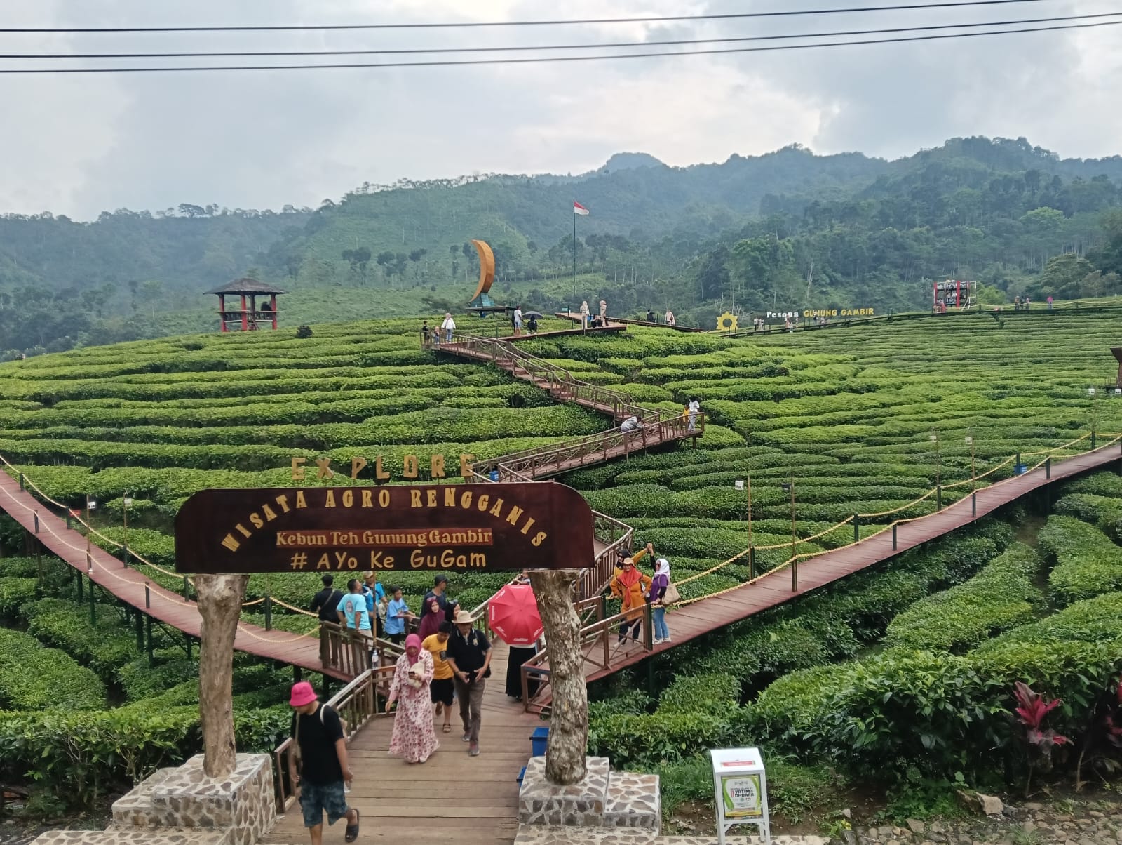 promosi-wisata-masih-kurang-greget-kamar-hotel-di-jember-banyak-tak-terisi