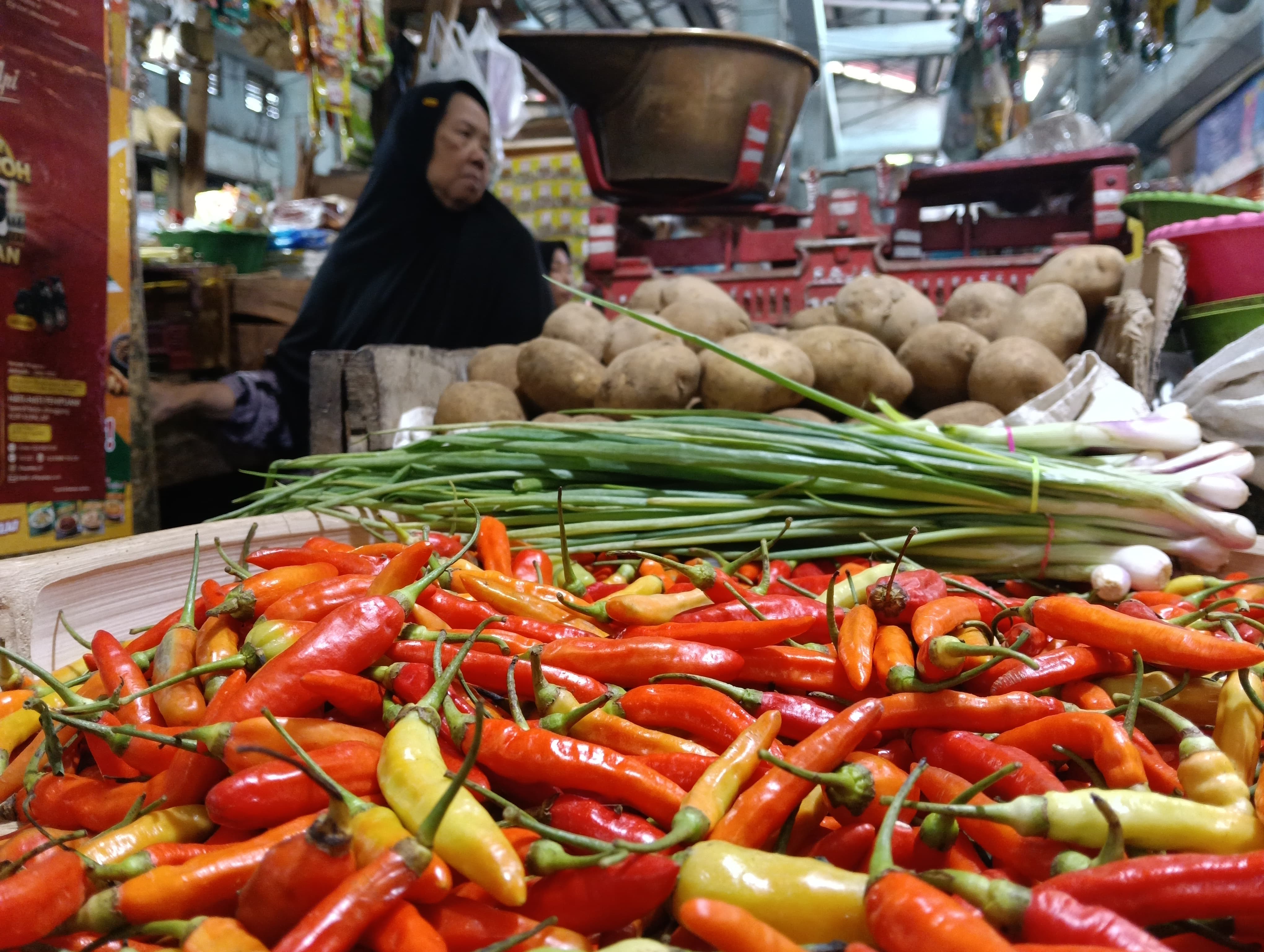 belanja-di-bawah-rp449-ribu-per-bulan-9-persen-warga-jember-masuk-kategori-miskin