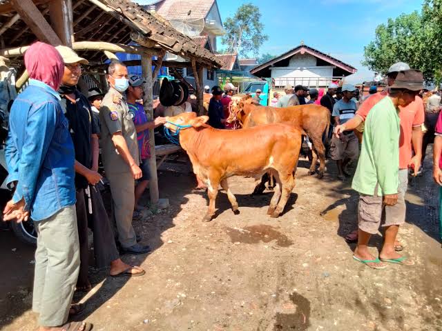 bupati-hendy-tolak-penutupan-pasar-hewan-ini-alasannya