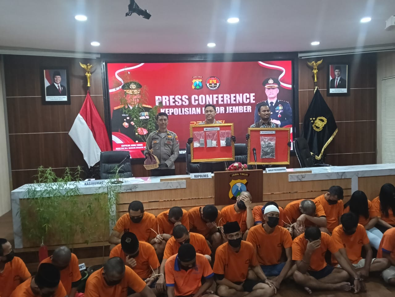 polres-jember-bongkar-jaringan-narkoba-6-pohon-ganja-ditanam-di-pemukiman