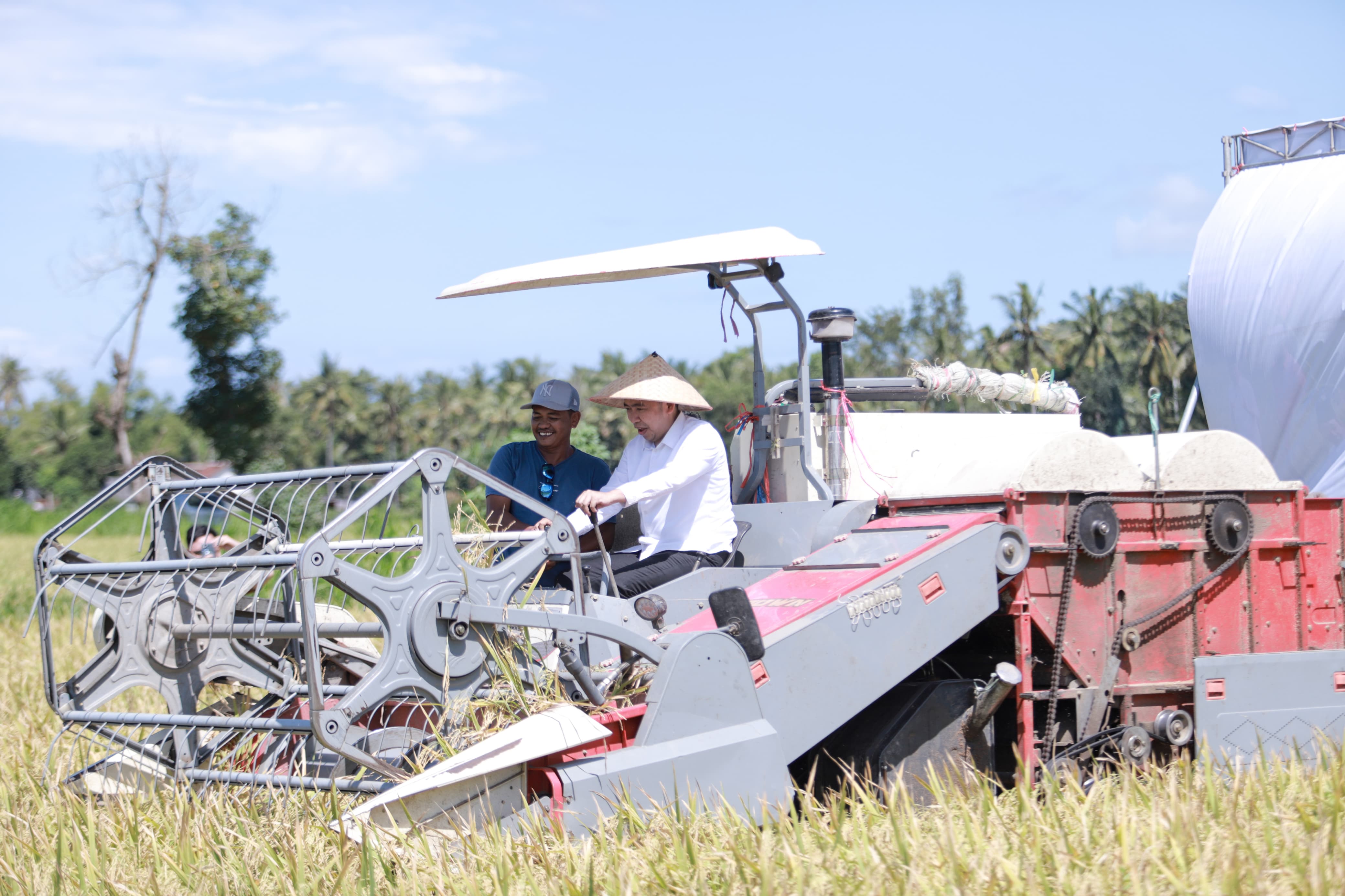 bupati-fawait-ingin-jember-jadi-lumbung-pangan-terbesar-jatim